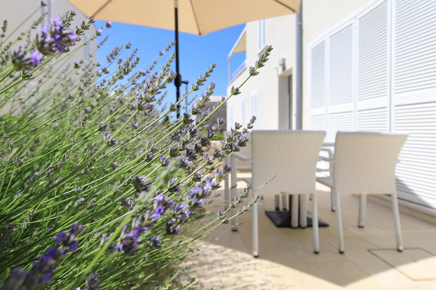 Sunnyside Apartments Resort Petrcane Buitenkant foto